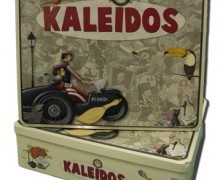 303_kaleidos1_1228429085