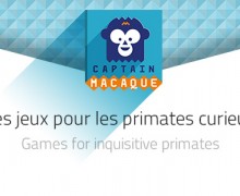 header_news